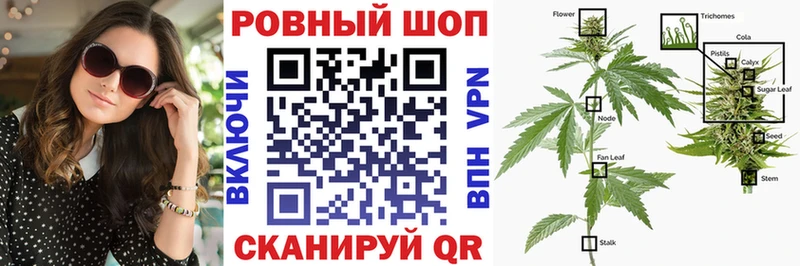 Виды наркоты Южноуральск МДМА  Псилоцибиновые грибы  Гашиш  A PVP  МАРИХУАНА  Меф мяу мяу  Cocaine 