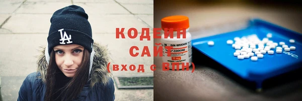 прущий лед Елизово