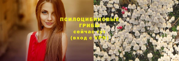 ECSTASY Елабуга